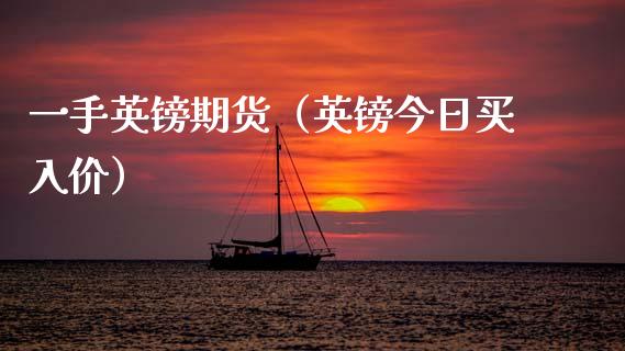 一手英镑期货（英镑今日买入价）
