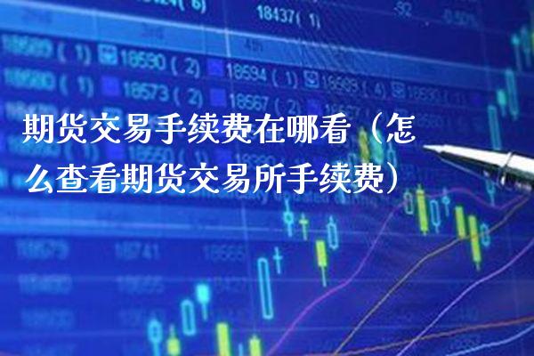 期货交易手续费在哪看（怎么查看期货交易所手续费）