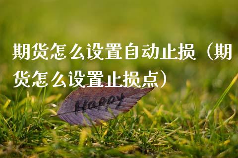 期货怎么设置自动止损（期货怎么设置止损点）_https://www.boyangwujin.com_期货直播间_第1张