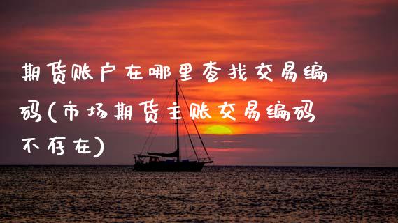 期货账户在哪里查找交易编码(市场期货主账交易编码不存在)_https://www.boyangwujin.com_期货直播间_第1张