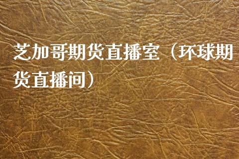 芝加哥期货直播室（环球期货直播间）_https://www.boyangwujin.com_期货直播间_第1张