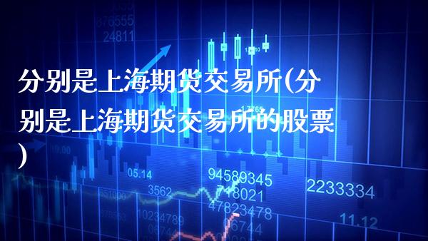 分别是上海期货交易所(分别是上海期货交易所的股票)_https://www.boyangwujin.com_期货直播间_第1张