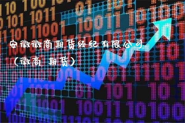 安徽徽商期货经纪有限公司（徽商 期货）