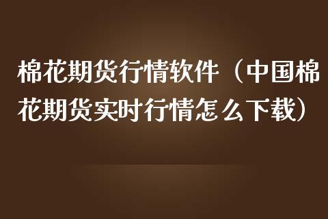 棉花期货行情软件（中国棉花期货实时行情怎么下载）