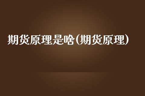期货原理是啥(期货原理)