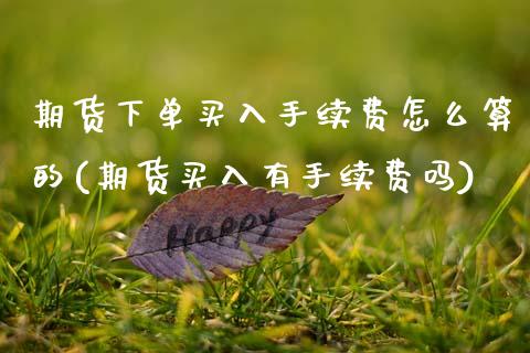 期货下单买入手续费怎么算的(期货买入有手续费吗)_https://www.boyangwujin.com_原油期货_第1张