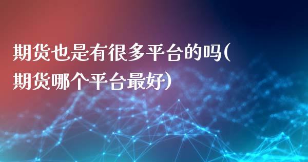 期货也是有很多平台的吗(期货哪个平台最好)