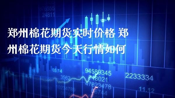 郑州棉花期货实时价格 郑州棉花期货今天行情如何