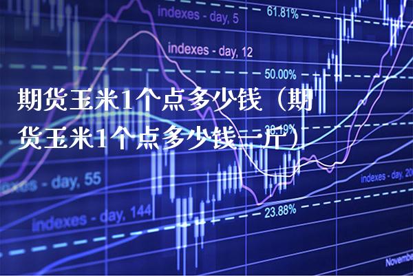 期货玉米1个点多少钱（期货玉米1个点多少钱一斤）