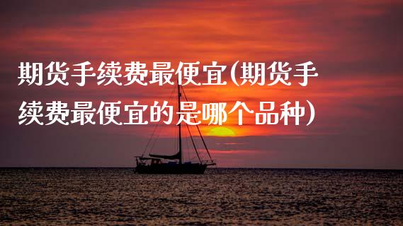 期货手续费最便宜(期货手续费最便宜的是哪个品种)_https://www.boyangwujin.com_黄金期货_第1张