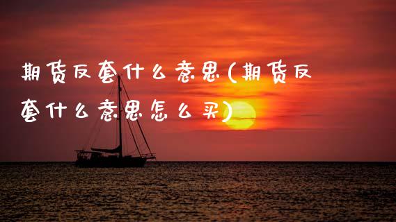 期货反套什么意思(期货反套什么意思怎么买)