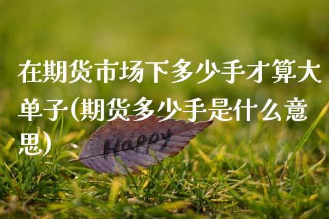 在期货市场下多少手才算大单子(期货多少手是什么意思)_https://www.boyangwujin.com_道指期货_第1张