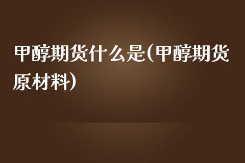 甲醇期货什么是(甲醇期货原材料)_https://www.boyangwujin.com_白银期货_第1张