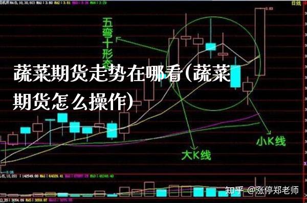 蔬菜期货走势在哪看(蔬菜期货怎么操作)_https://www.boyangwujin.com_期货直播间_第1张