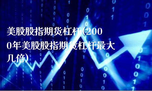 美股股指期货杠杆(2000年美股股指期货杠杆最大几倍)_https://www.boyangwujin.com_期货直播间_第1张