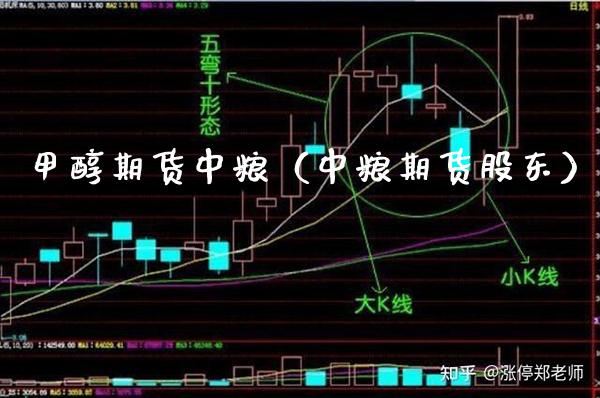 甲醇期货中粮（中粮期货股东）