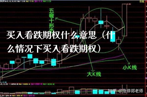 买入看跌期权什么意思（什么情况下买入看跌期权）_https://www.boyangwujin.com_期货直播间_第1张