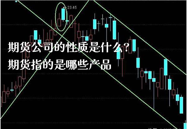 期货公司的性质是什么? 期货指的是哪些产品_https://www.boyangwujin.com_黄金期货_第1张