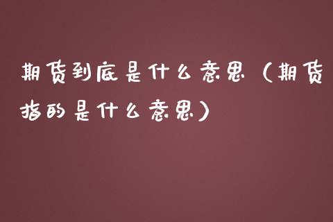 期货到底是什么意思（期货指的是什么意思）_https://www.boyangwujin.com_恒生指数_第1张