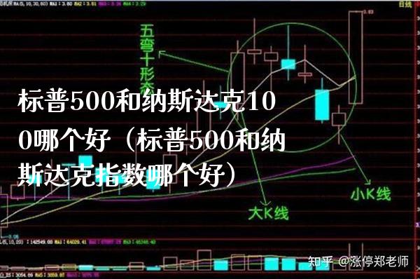 标普500和纳斯达克100哪个好（标普500和纳斯达克指数哪个好）_https://www.boyangwujin.com_期货直播间_第1张