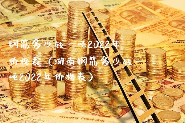 钢筋多少钱一吨2022年价格表（湖南钢筋多少钱一吨2022年价格表）