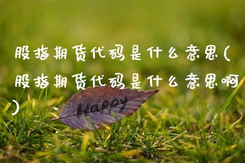 股指期货代码是什么意思(股指期货代码是什么意思啊)_https://www.boyangwujin.com_黄金期货_第1张