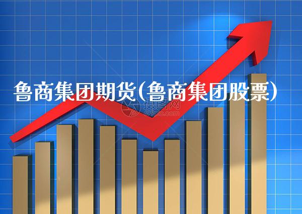 鲁商集团期货(鲁商集团股票)_https://www.boyangwujin.com_期货直播间_第1张