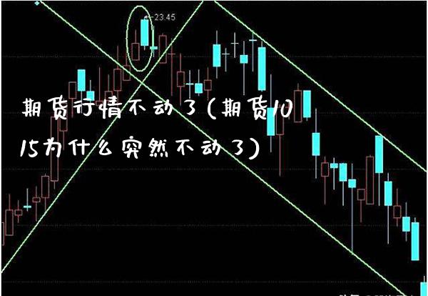 期货行情不动了(期货1015为什么突然不动了)