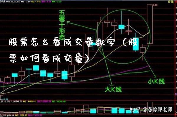 股票怎么看成交量数字（股票如何看成交量）_https://www.boyangwujin.com_期货直播间_第1张