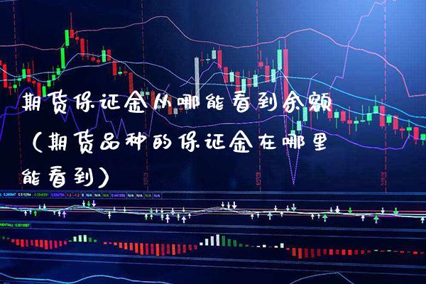 期货保证金从哪能看到余额（期货品种的保证金在哪里能看到）