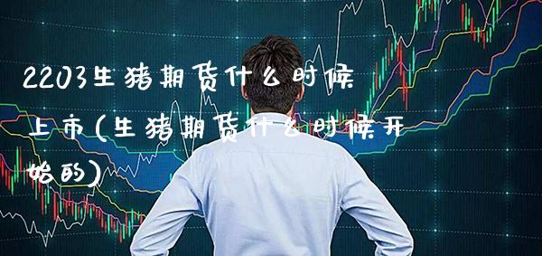 2203生猪期货什么时候上市(生猪期货什么时候开始的)_https://www.boyangwujin.com_期货直播间_第1张