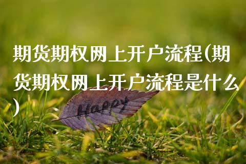 期货期权网上开户流程(期货期权网上开户流程是什么)_https://www.boyangwujin.com_期货科普_第1张