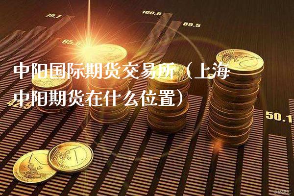 中阳国际期货交易所（上海中阳期货在什么位置）