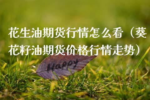花生油期货行情怎么看（葵花籽油期货价格行情走势）