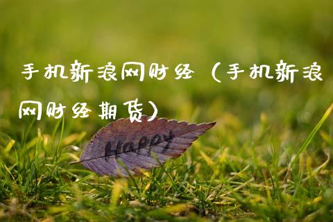 手机新浪网财经（手机新浪网财经期货）_https://www.boyangwujin.com_纳指期货_第1张
