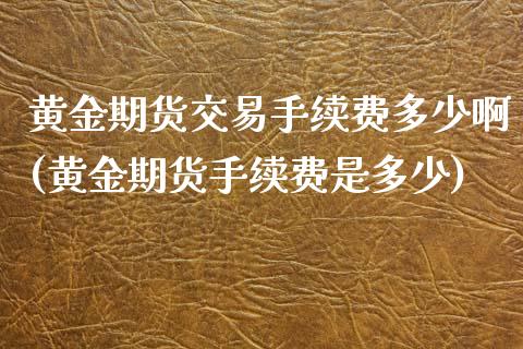 黄金期货交易手续费多少啊(黄金期货手续费是多少)_https://www.boyangwujin.com_期货直播间_第1张