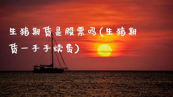 生猪期货是股票吗(生猪期货一手手续费)_https://www.boyangwujin.com_白银期货_第1张