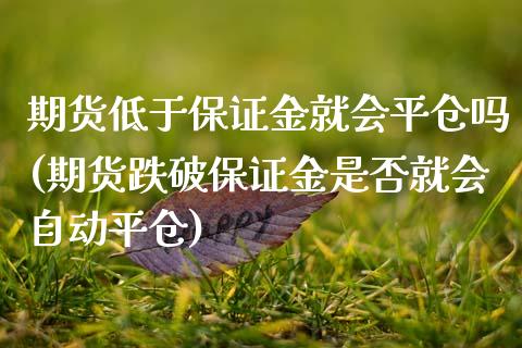 期货低于保证金就会平仓吗(期货跌破保证金是否就会自动平仓)_https://www.boyangwujin.com_期货直播间_第1张