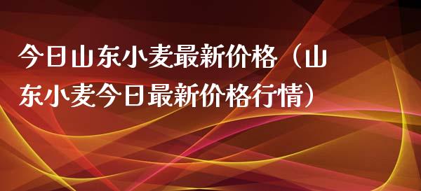 今日山东小麦最新价格（山东小麦今日最新价格行情）