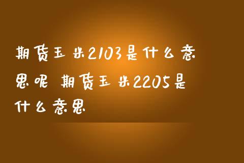 期货玉米2103是什么意思呢 期货玉米2205是什么意思_https://www.boyangwujin.com_原油期货_第1张