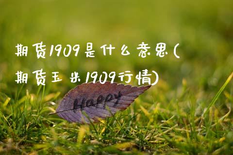 期货1909是什么意思(期货玉米1909行情)