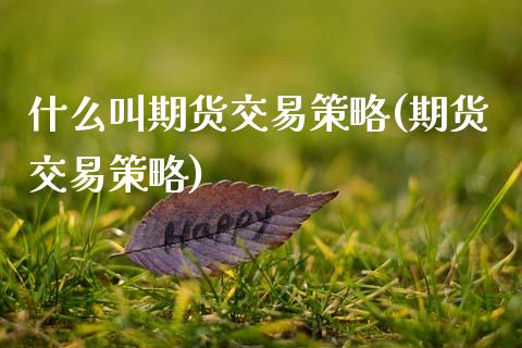 什么叫期货交易策略(期货交易策略)_https://www.boyangwujin.com_道指期货_第1张