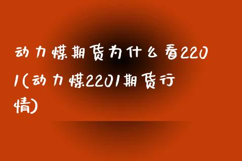 动力煤期货为什么看2201(动力煤2201期货行情)_https://www.boyangwujin.com_恒生指数_第1张