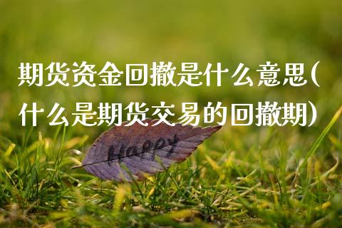 期货资金回撤是什么意思(什么是期货交易的回撤期)_https://www.boyangwujin.com_期货开户_第1张
