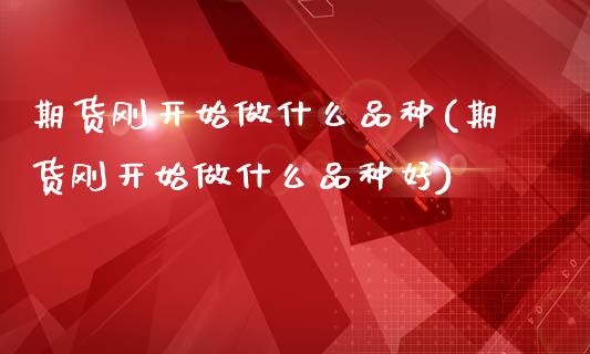 期货刚开始做什么品种(期货刚开始做什么品种好)_https://www.boyangwujin.com_期货直播间_第1张