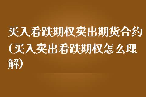 买入看跌期权卖出期货合约(买入卖出看跌期权怎么理解)_https://www.boyangwujin.com_期货直播间_第1张