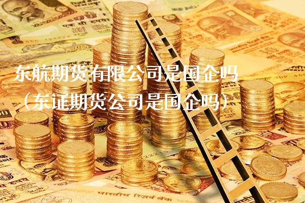 东航期货有限公司是国企吗（东证期货公司是国企吗）_https://www.boyangwujin.com_道指期货_第1张