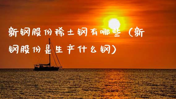 新钢股份稀土钢有哪些（新钢股份是生产什么钢）