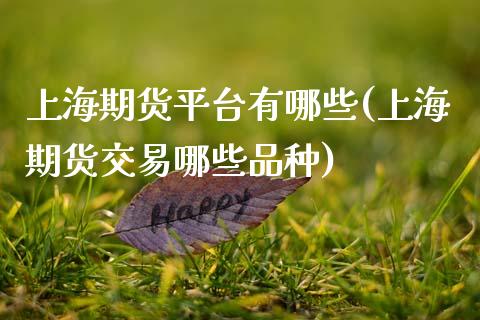上海期货平台有哪些(上海期货交易哪些品种)_https://www.boyangwujin.com_期货直播间_第1张