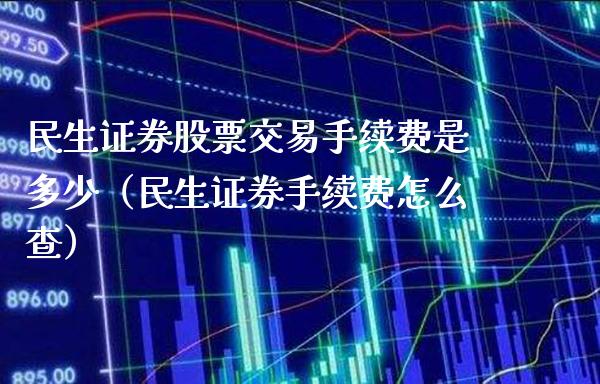 民生证券股票交易手续费是多少（民生证券手续费怎么查）_https://www.boyangwujin.com_期货直播间_第1张